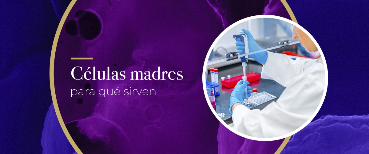 ¿Qué son las células madre mesenquimales y para qué sirven?